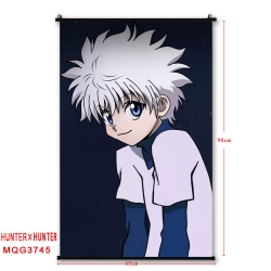 Hunter x Hunter Anime plastic ...