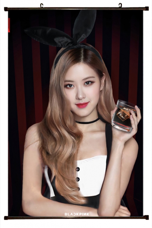 BLACKPINK black Plastic rod Cloth painting Wall Scroll 60X90CM BP366