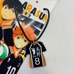 Haikyuu!! Anime Stainless stee...