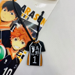 Haikyuu!! Anime Stainless stee...