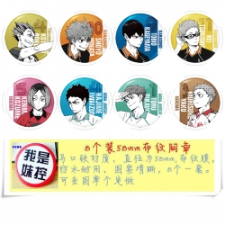 Haikyuu!! Anime round Badge cl...