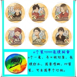 Haikyuu!! 6 Brooch Bedge 75cm ...