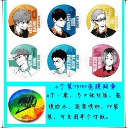 Haikyuu!! 6 Brooch Bedge 75cm ...