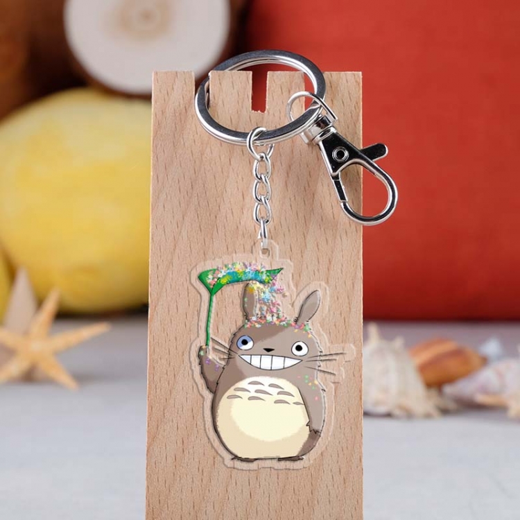 TOTORO  Anime acrylic Key Chain price for 5 pcs 3951