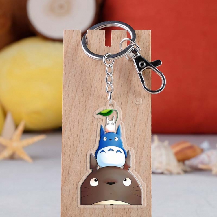 TOTORO  Anime acrylic Key Chain price for 5 pcs 3952