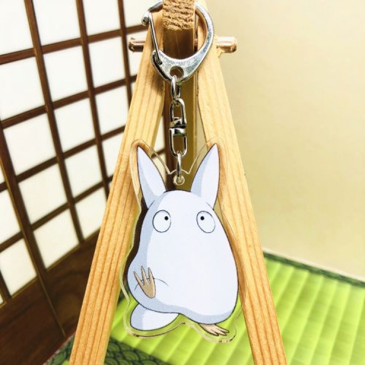 TOTORO Anime acrylic Key Chain price for 5 pcs 5495