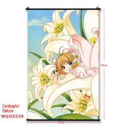 Card Captor Sakura Plastic pol...