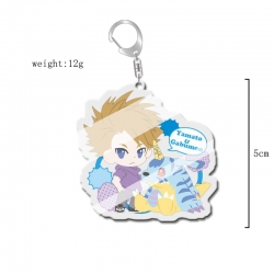 Digimon Anime acrylic Key Chai...