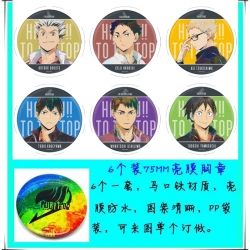 Haikyuu!! Anime round Badge Br...