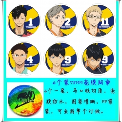 Haikyuu!!  Anime round Badge B...