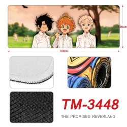 The Promised Neverla Anime per...