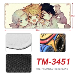 The Promised Neverla Anime per...