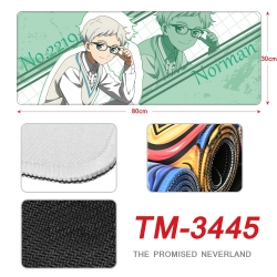 The Promised Neverla Anime per...