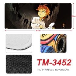 The Promised Neverla Anime per...