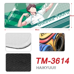 Haikyuu!! Anime peripheral new...