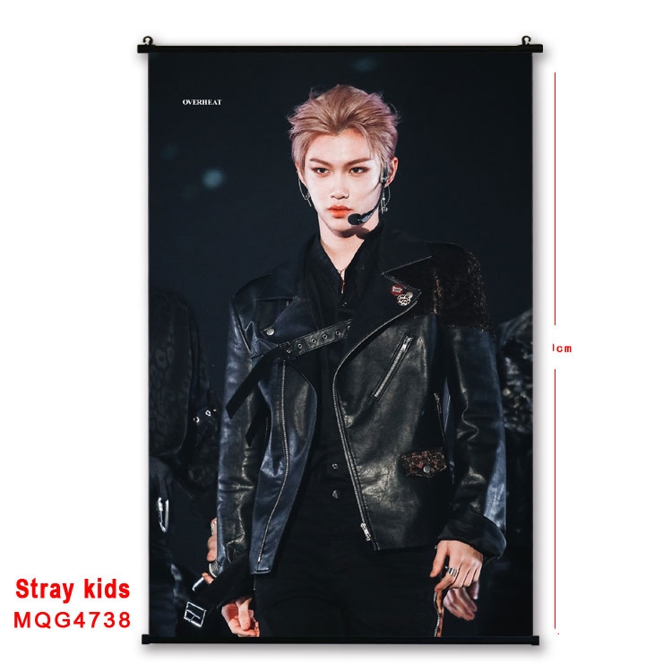 Stray Kids movie star black Plastic rod Cloth painting Wall Scroll 60X90CM MQG-4738