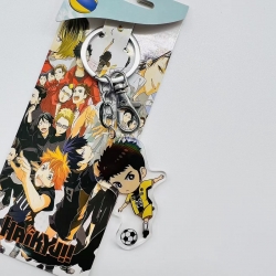 Haikyuu!! Anime Peripheral Acr...