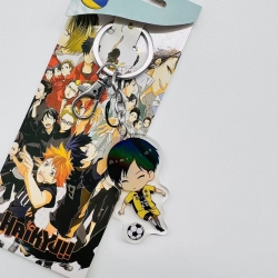 Haikyuu!! Anime Peripheral Acr...