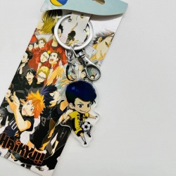 Haikyuu!! Anime Peripheral Acr...