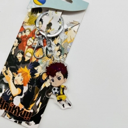 Haikyuu!! Anime Peripheral Acr...