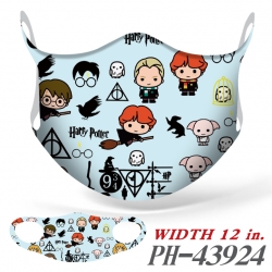 Harry Potter Full color Ice si...