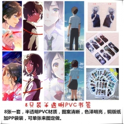 Your Name PVC Delicate Edition...