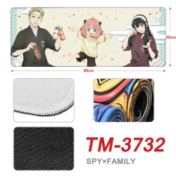 SPY×FAMILY Anime peripheral ne...