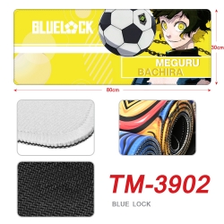 BLUE LOCK Anime peripheral new...
