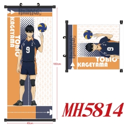 Haikyuu!! Anime black Plastic ...