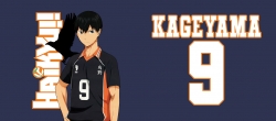 Haikyuu!! Anime color printing...