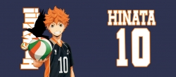 Haikyuu!! Anime color printing...