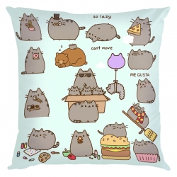 Pusheen Anime black Plastic ro...