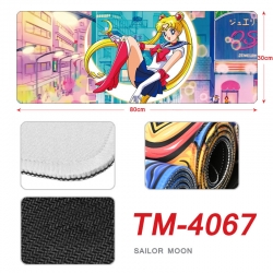 sailormoon Anime peripheral ne...