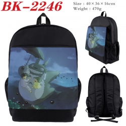 TOTORO New nylon canvas waterp...