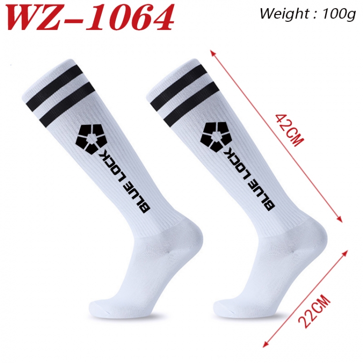 BLUE LOCK Embroidered sports football socks Knitted wool socks 42x22cm WZ-1064