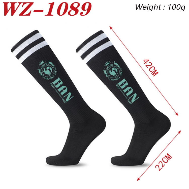 The Seven Deadly Sins  Embroidered sports football socks Knitted wool socks 42x22cm WZ-1089