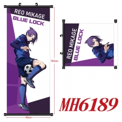 BLUE LOCK Anime black Plastic ...