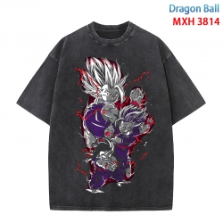 DRAGON BALL Anime peripheral p...
