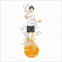 Haikyuu!! Anime characters acr...