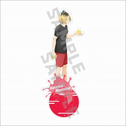 Haikyuu!! Anime characters acr...