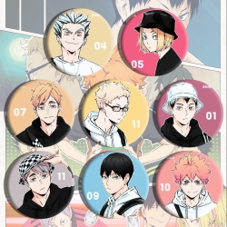 Haikyuu!! Anime tinplate brooc...