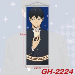 Haikyuu!! Plastic Rod Cloth Sm...