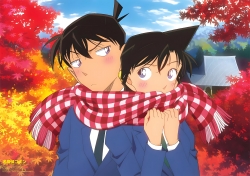 Detective conan Double sided a...