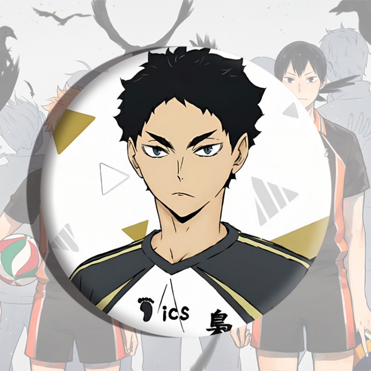 Haikyuu!! Anime tinplate brooch badge price for 5 pcs