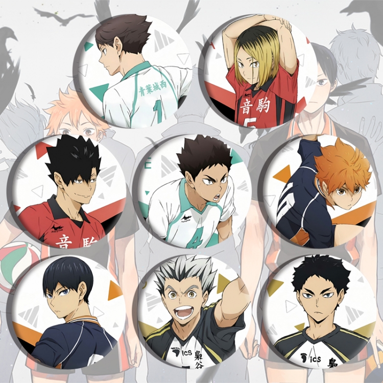 Haikyuu!! Anime tinplate brooch badge a set of 8