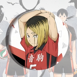 Haikyuu!! Anime tinplate brooc...