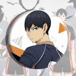 Haikyuu!! Anime tinplate brooc...