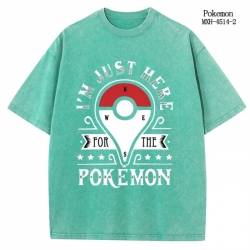 Pokemon Anime peripheral pure ...