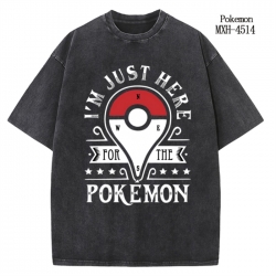 Pokemon Anime peripheral pure ...