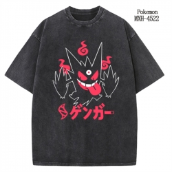 Pokemon Anime peripheral pure ...